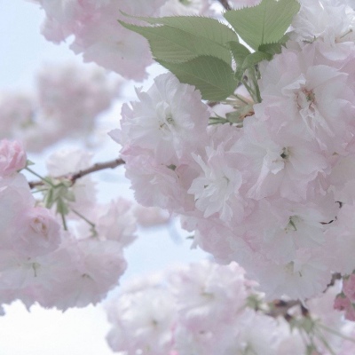 潍城福瑞交流群